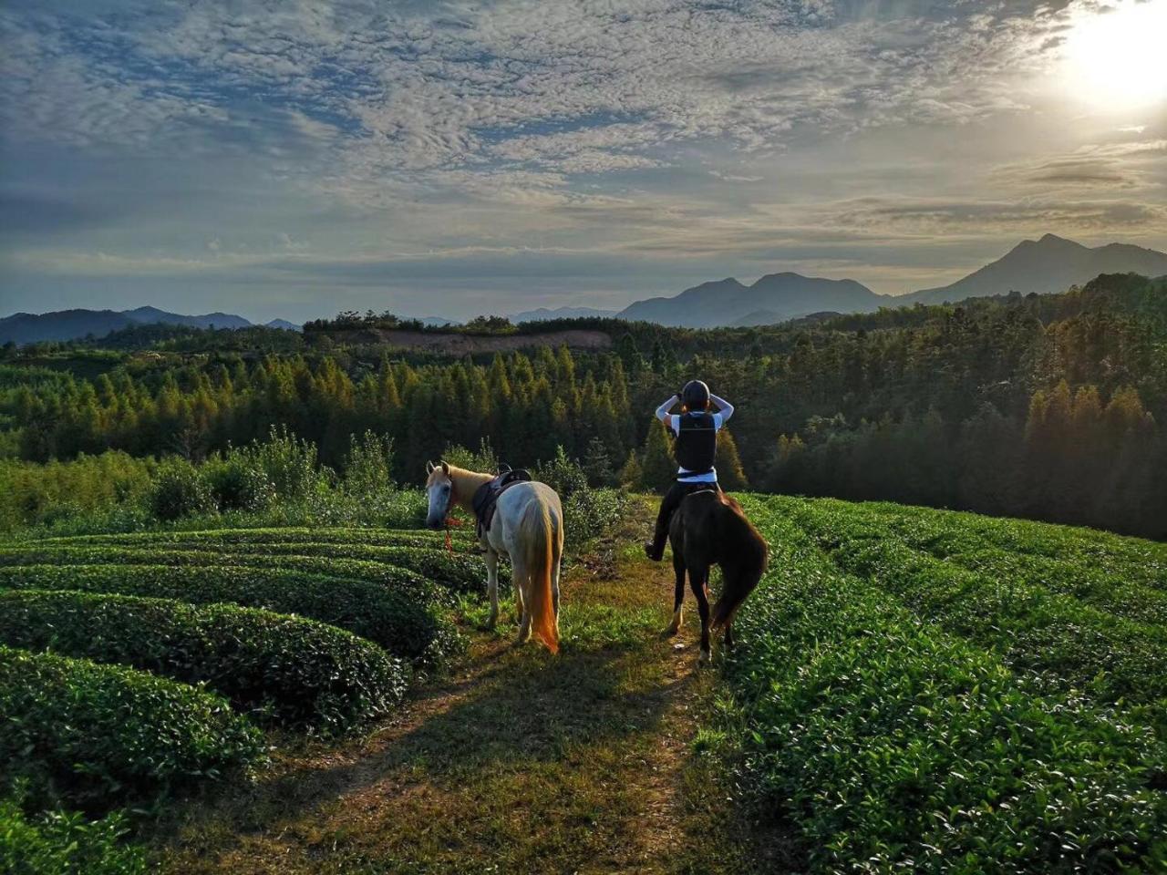 Moganshan Solvang Village Boutique Hotel Deqing ภายนอก รูปภาพ